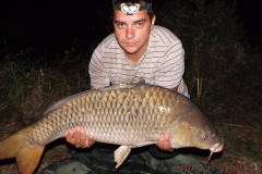 smuczerbalazs_ponty_1